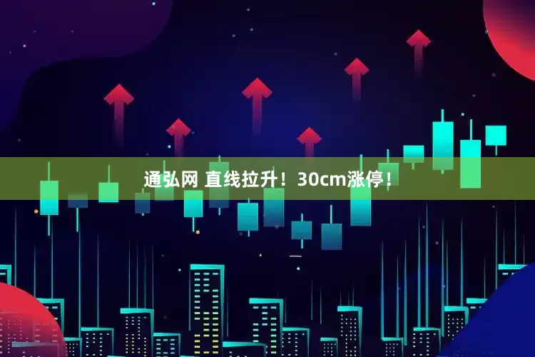 通弘网 直线拉升！30cm涨停！