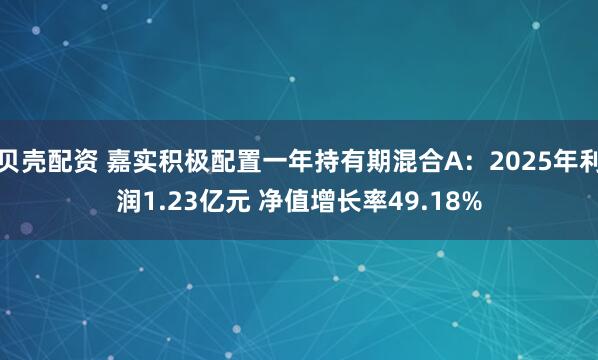 贝壳配资 嘉实积极配置一年持有期混合A：2025年利润1.23亿元 净值增长率49.18%