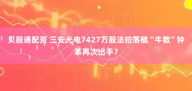 贝股通配资 三安光电7427万股法拍落槌“牛散”钟革再次出手？